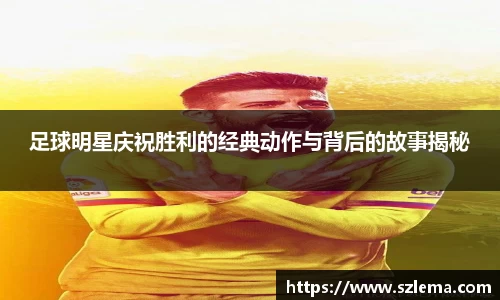 BB贝博艾弗森体育