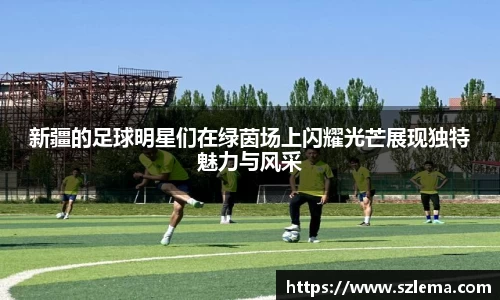 BB贝博艾弗森体育